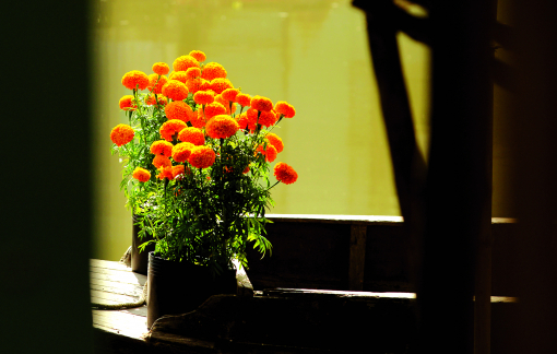 Ngày tết trong trí tưởng