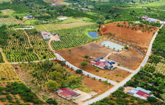 Phê bình Giám đốc Sở Xây dựng Lâm Đồng vì chậm tham mưu hiến đất làm đường