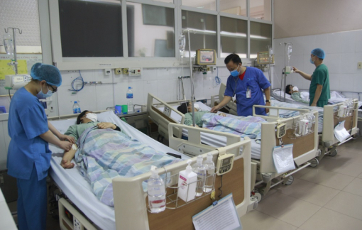 Nhầm củ nần với củ từ, 4 người trong một gia đình nhập viện cấp cứu