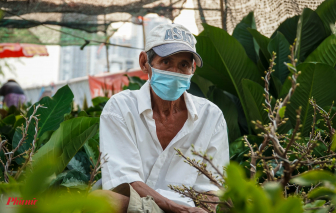 Chợ hoa xuân bến Bình Đông: Dù dịch bệnh, các tiểu thương vẫn không bỏ chợ
