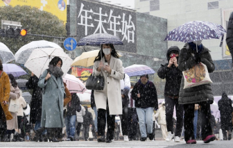 Nhật: Một phụ nữ kiện người đàn ông hiến tinh trùng, đòi bồi thường gần 3 triệu USD
