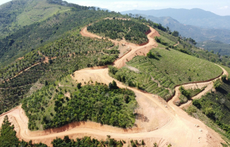Thêm một ngọn đồi ở Lâm Đồng bị cạo trọc để làm đường