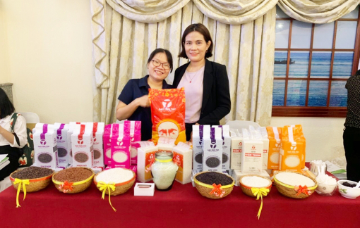 Những "cánh én xanh" vượt bão