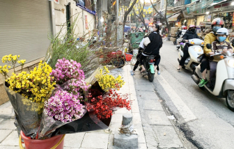 Vì sao hoa Trung Quốc “lấn lướt” trên thị trường Hà Nội?