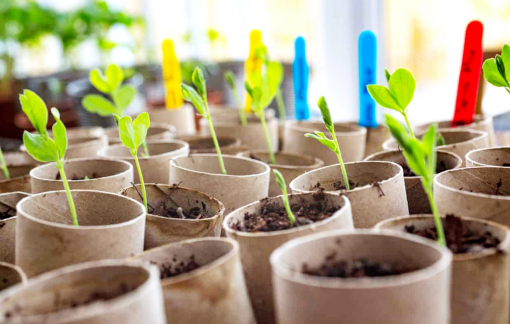 Tiết kiệm và gắn kết cộng đồng nhờ “cũ người mới ta”