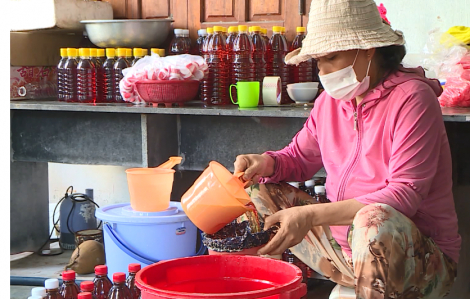 Tết hối hả ở nơi nghề làm nước mắm vừa được công nhận di sản phi vật thể quốc gia