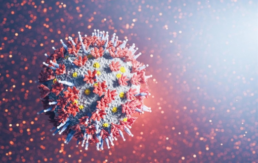 Người bị nhiễm Omricon có khả năng tạo ra miễn dịch chống lại chính nó?