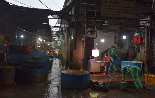 Mở cửa từ đêm, chợ cá chép lớn nhất Hà Nội vẫn vắng khách