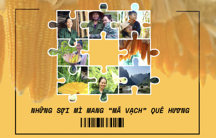Những sợi mì mang “mã vạch” quê hương