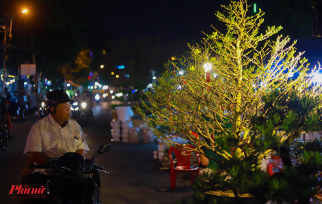 Mai, đào khủng “đổ bộ” vào TPHCM