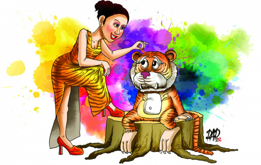 Thư của một cô gái gửi cọp