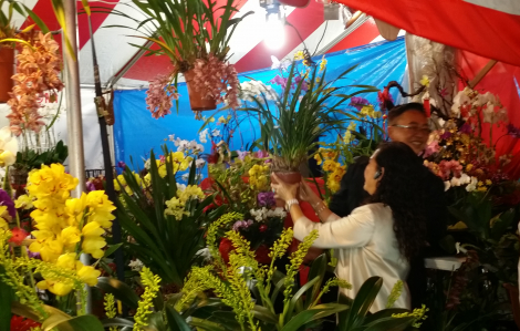Đi chợ tết Việt trên đất Mỹ để thỏa nỗi nhớ nhà