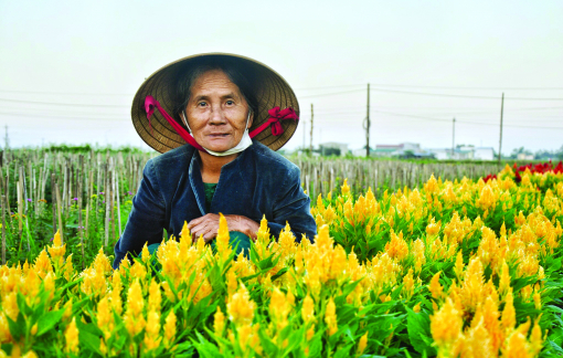 Lang thang trong yên vắng