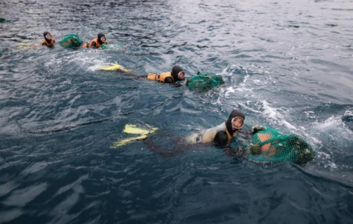 Công việc khó nhằn của những người “Phụ nữ của biển”