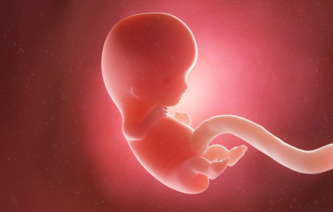 Trung Quốc chế tạo “bảo mẫu AI” để chăm sóc thai nhi trong tử cung nhân tạo