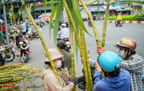 Chợ mía vàng tấp nập ngày cúng vía Trời