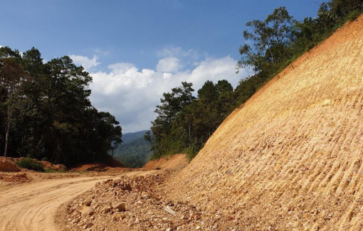 Tỉnh Lâm Đồng báo cáo vụ tự ý mở đường Trường Sơn Đông gây thiệt hại tài nguyên rừng
