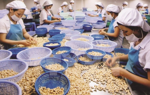 Kiều bào chỉ lỗi nông sản Việt ngon, bổ, rẻ vẫn khó xuất khẩu