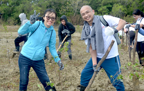 Takeda Việt Nam trồng cây tại Khu Dự trữ Sinh quyển Cần Giờ, chung tay cùng Gaia bảo tồn thiên nhiên Việt Nam