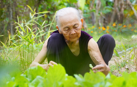 “Không cho ngoại làm là ngoại bệnh cho coi!”