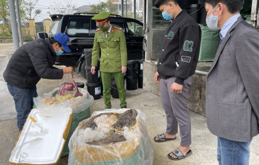 Bắt giữ xe chở 2 tấn nội tạng bò bốc mùi hôi thối