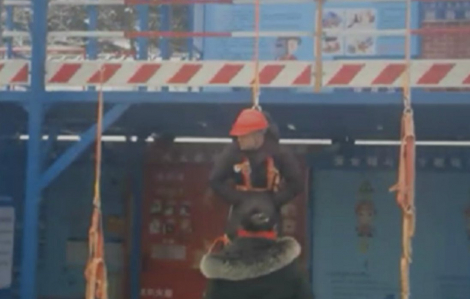 Trung Quốc: Người đàn ông bị vợ phạt treo lơ lửng vì quên thắt dây an toàn khi làm việc trên cao