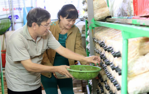 Gặt hái thành công nhờ kiên trì với nông nghiệp đô thị