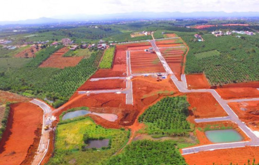 Lâm Đồng: Chấn chỉnh tình trạng phân lô tách thửa, mạo danh dự án bất động sản