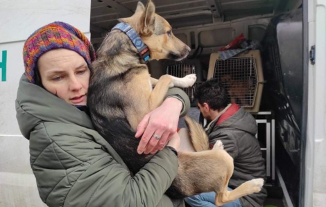Người dân Ukraine quyết không bỏ rơi thú cưng trên đường chạy nạn