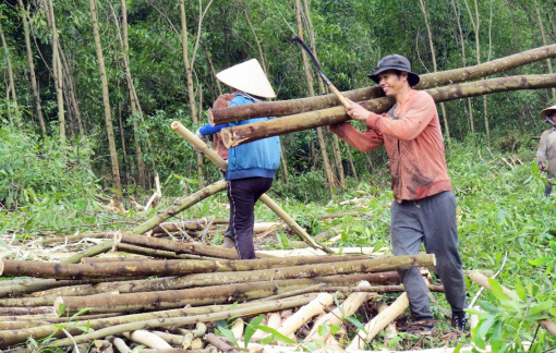 Chợ lao động của đồng bào Hrê, Quảng Ngãi