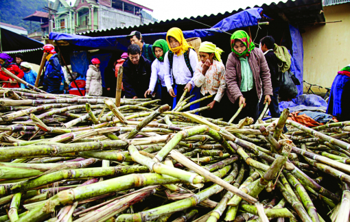 Đi xem chợ phiên trên cao nguyên đá