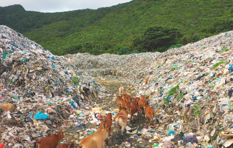Triển lãm "Du hí biển nhựa": Báo động rác thải tại Côn Đảo