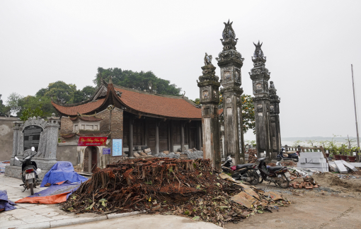 Ban Khánh tiết nhận trách nhiệm trong vụ chặt cây đa ở đình Chèm
