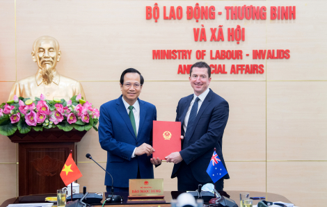 Việt Nam là quốc gia đầu tiên được xuất khẩu lao động nông nghiệp sang Úc