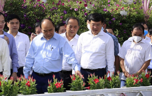 Chủ tịch nước gợi ý Đồng Tháp tổ chức lễ hội hoa để phát triển du lịch