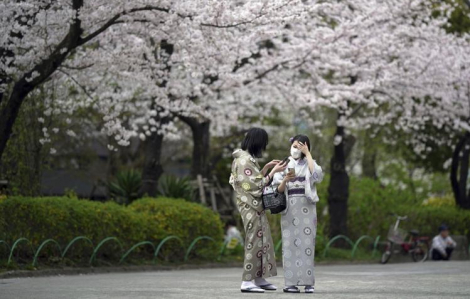 Người Nhật đón mừng mùa hoa anh đào trở lại sau 2 năm bị gián đoạn vì COVID-19