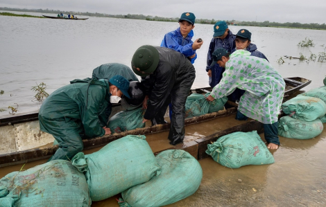 Thừa Thiên - Huế: Bộ đội dầm mưa đắp đê ngăn lũ cứu lúa giúp dân