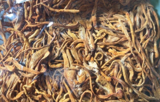 Cẩn trọng khi mua sản phẩm hỗ trợ sức khỏe giá rẻ