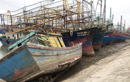 Ngư dân đua nhau bán tàu, phiêu bạt tứ xứ làm ăn