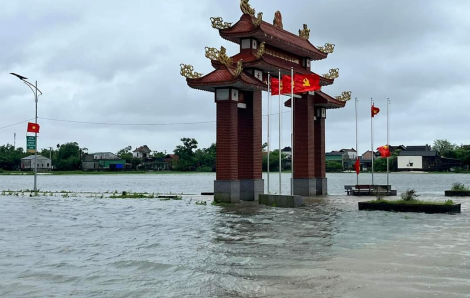 Nông dân Quảng Trị, Thừa Thiên - Huế lo trắng tay vì lúa ngập, cá chết