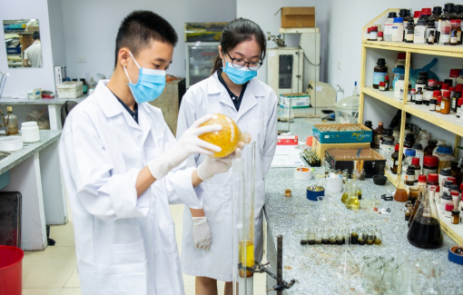 Mô hình đào tạo cá nhân hóa: Biến “tiềm năng” thành “tài năng”