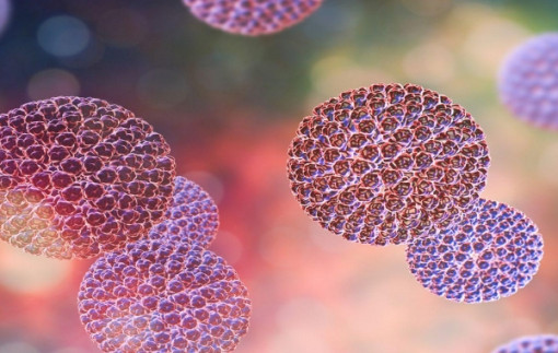 Cảnh báo tiêu chảy do rotavirus có dấu hiệu gia tăng ở Phú Thọ