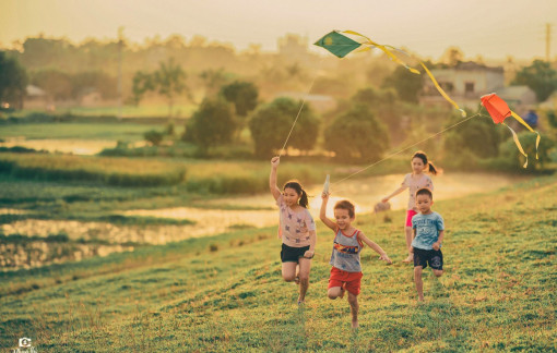 Hoa đồng nội mong manh trong gió