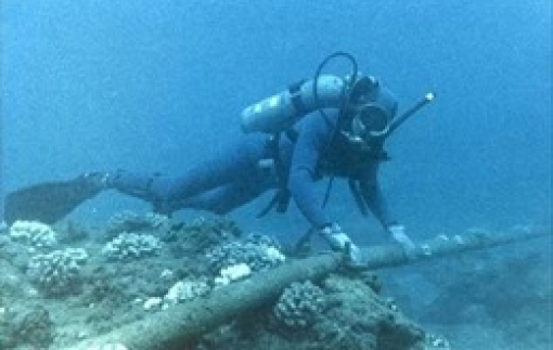 Cáp quang biển APG gặp sự cố, chất lượng Internet bị ảnh hưởng