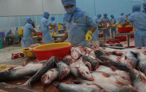 Trung Quốc tiếp tục kiểm soát chặt thủy sản nhập khẩu