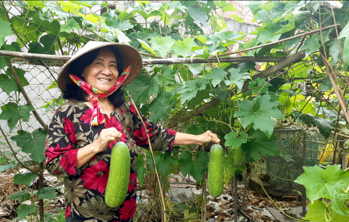 Làm vườn - một cuộc chơi gian nan thú vị