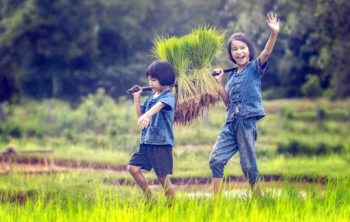 Theo mẹ ra đồng làm cỏ