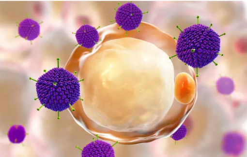Ít nhất một trẻ em đã chết vì mắc bệnh viêm gan bí ẩn