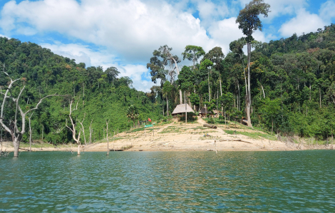 Quảng Nam lý giải nguyên nhân giảm gần 3.000ha rừng tự nhiên