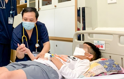 Mua 3 con rắn lục đuôi đỏ về làm thú cưng, bé trai 13 tuổi bị rắn cắn nguy hiểm tính mạng